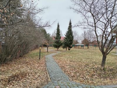 photo 67dc0a10ef97d_thumb.jpg