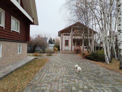 photo 67dc0a125054a_thumb.jpg