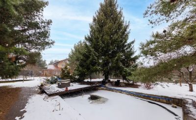 photo 67e263efa475a_thumb.jpg