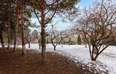 photo 67e264170206d_thumb.jpg