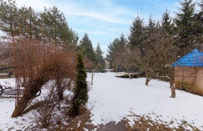 photo 67e26417bcb6e_thumb.jpg