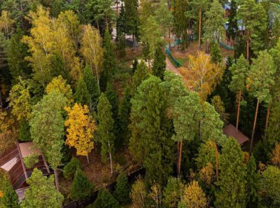 photo 67e14584eeb16_thumb.jpg