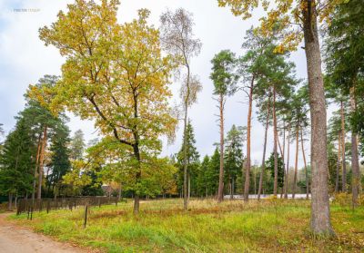 photo 67e1458582cee_thumb.jpg