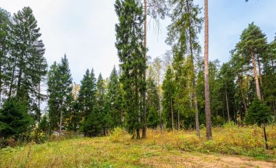 photo 67e1458630f3d_thumb.jpg