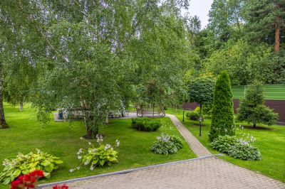 photo 67e148d554c0a_thumb.jpg