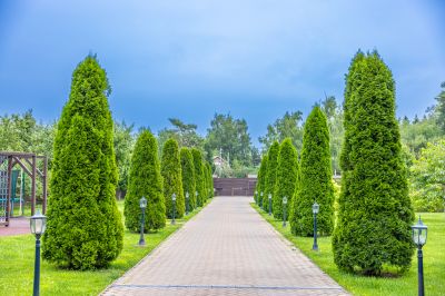 photo 67e148f3b66e6_thumb.jpg