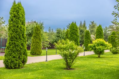 photo 67e1491252ac9_thumb.jpg