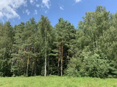 photo 67e3e2a2eb956_thumb.jpg