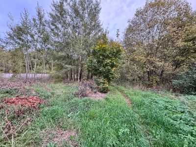 photo 67e641c8ee02c_thumb.jpg