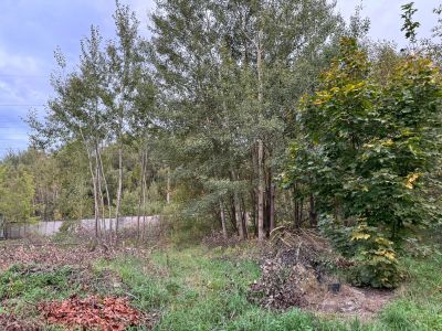 photo 67e641ca2af4e_thumb.jpg