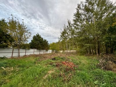 photo 67e641cb97730_thumb.jpg