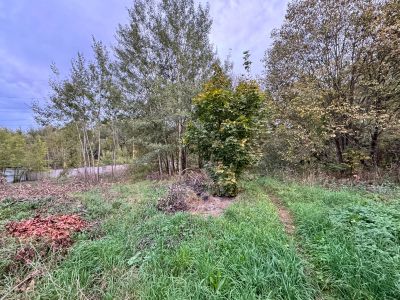 photo 67e641cf85934_thumb.jpg