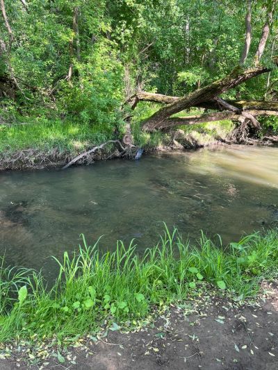 photo 67e6621adc3c5_thumb.jpg