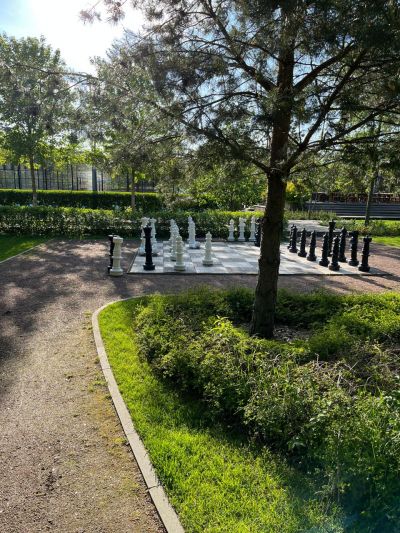 photo 67e6621c3a41f_thumb.jpg