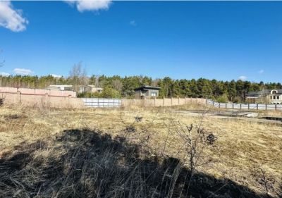 photo 67e67b8604bcb_thumb.jpg