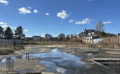 photo 67e67b8684cc1_thumb.jpg