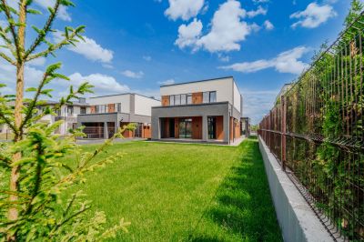 photo 685ba49d29834_thumb.jpg