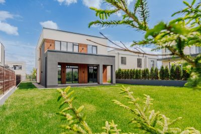 photo 685ba4a20048c_thumb.jpg