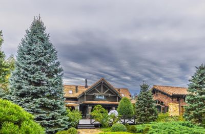 photo 67ea83cdbf9f1_thumb.jpg