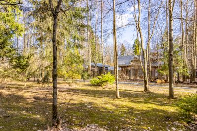 photo 67f3d9381b616_thumb.jpg