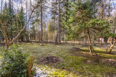 photo 67f3e0b15a165_thumb.jpg