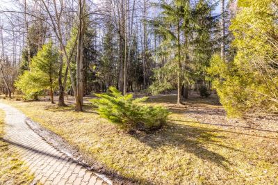 photo 67f3e0b232c17_thumb.jpg