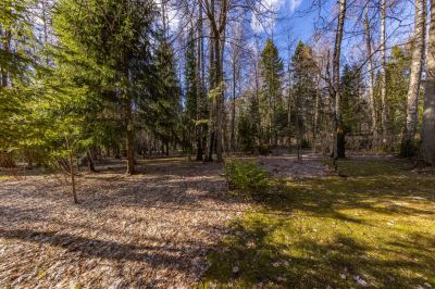 photo 67f3e0b2e0342_thumb.jpg