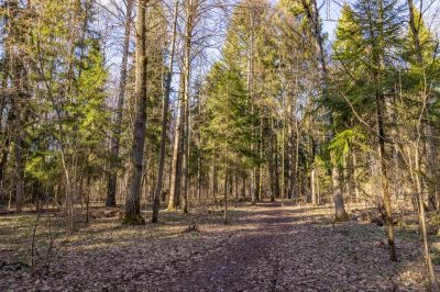 photo 67f3e0b397dae_thumb.jpg