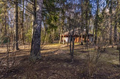 photo 67f3e0b659407_thumb.jpg