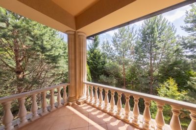 photo 67f3ce99e4d60_thumb.jpg