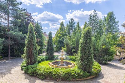 photo 67f3cf16081bb_thumb.jpg