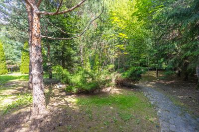 photo 67f3cf4b1efc4_thumb.jpg