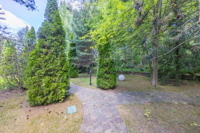 photo 67f3cf9298df2_thumb.jpg