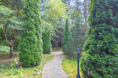 photo 67f3cf9775b49_thumb.jpg