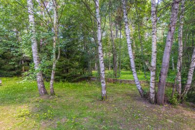 photo 67f3d08ef2cf2_thumb.jpg