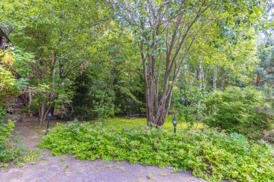 photo 67f3d0cc534ea_thumb.jpg