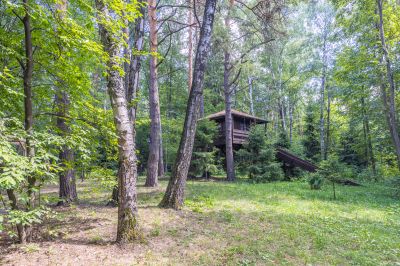 photo 67f3d0ce6113a_thumb.jpg