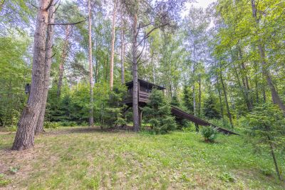 photo 67f3d0d0a7709_thumb.jpg