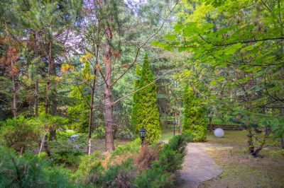 photo 67f3d11409bd4_thumb.jpg