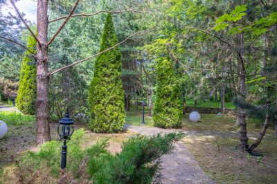 photo 67f3d1165157f_thumb.jpg