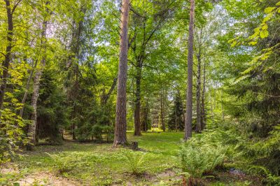 photo 67f3d1186b914_thumb.jpg