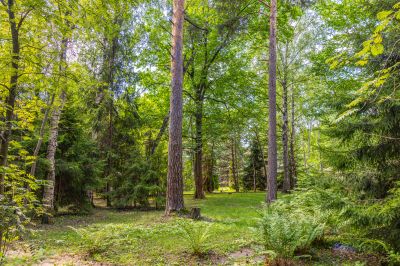 photo 67f3d13209be6_thumb.jpg