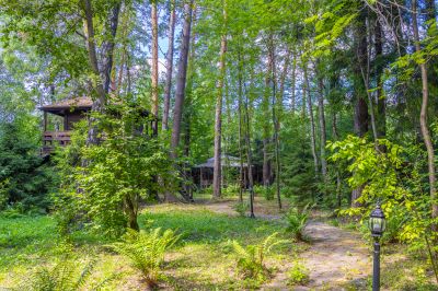 photo 67f3d137393d0_thumb.jpg