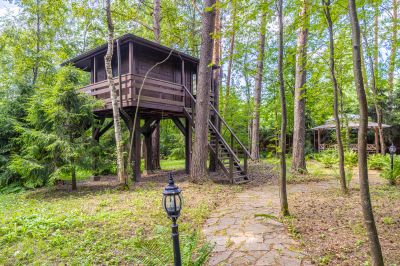 photo 67f3d1399d0d2_thumb.jpg