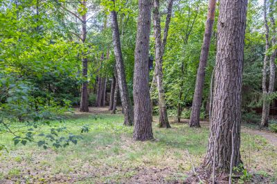 photo 67f3d14ff0717_thumb.jpg