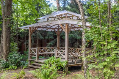 photo 67f3d1523b74a_thumb.jpg