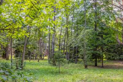 photo 67f3d15446fc0_thumb.jpg