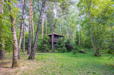 photo 67f3d15664345_thumb.jpg