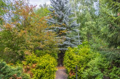 photo 67f3d16de6b3f_thumb.jpg