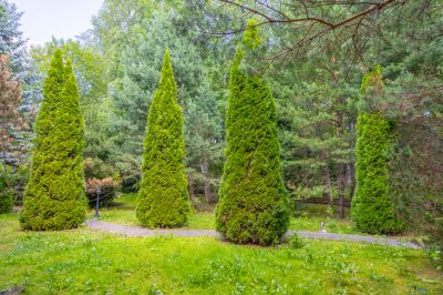 photo 67f3d171b8c99_thumb.jpg